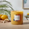 28oz Glass Lemon La Mer Candle Yellow - Opalhouse™ -Opalhouse Store GUEST 345325a5 f976 46d8 a646 203840829cb7