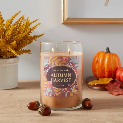 21.5oz Lidded Glass Jar 2-Wick Autumn Harvest Candle - Opalhouse™ 21.5oz Lidded Glass Jar 2-Wick Autumn Harvest Candle - Opalhouse™ -Opalhouse Store GUEST d493f41a 53f3 49af 851d 75c34df8924a
